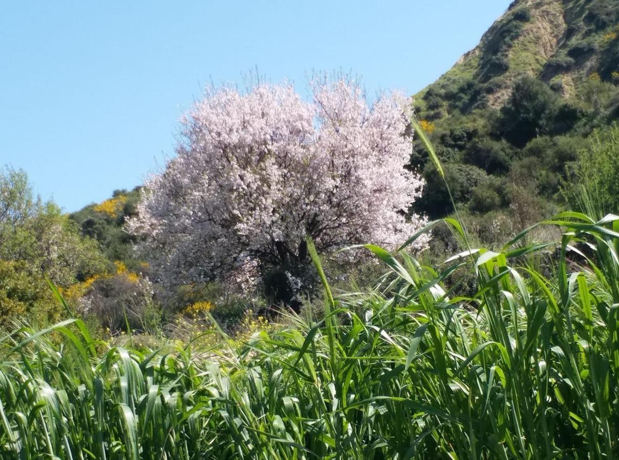 Maria Villa Pissouri Buitenkant foto